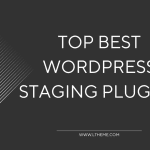 top-wordpress-staging-plugin
