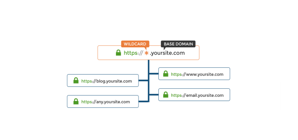 Wildcard Ssl Certificate