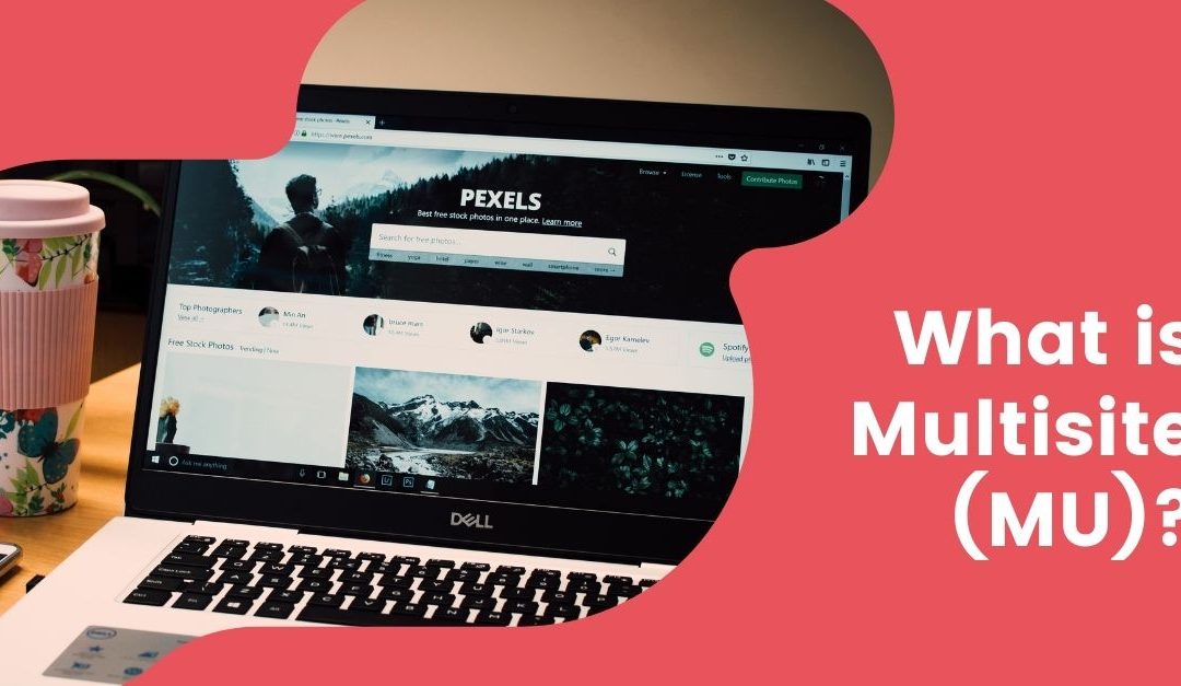 What is Multisite (MU)?