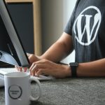 WordPress 101: Essential Tools to Get Started wp-101