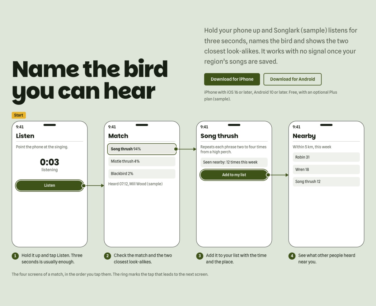 LT App Showcase design: app section