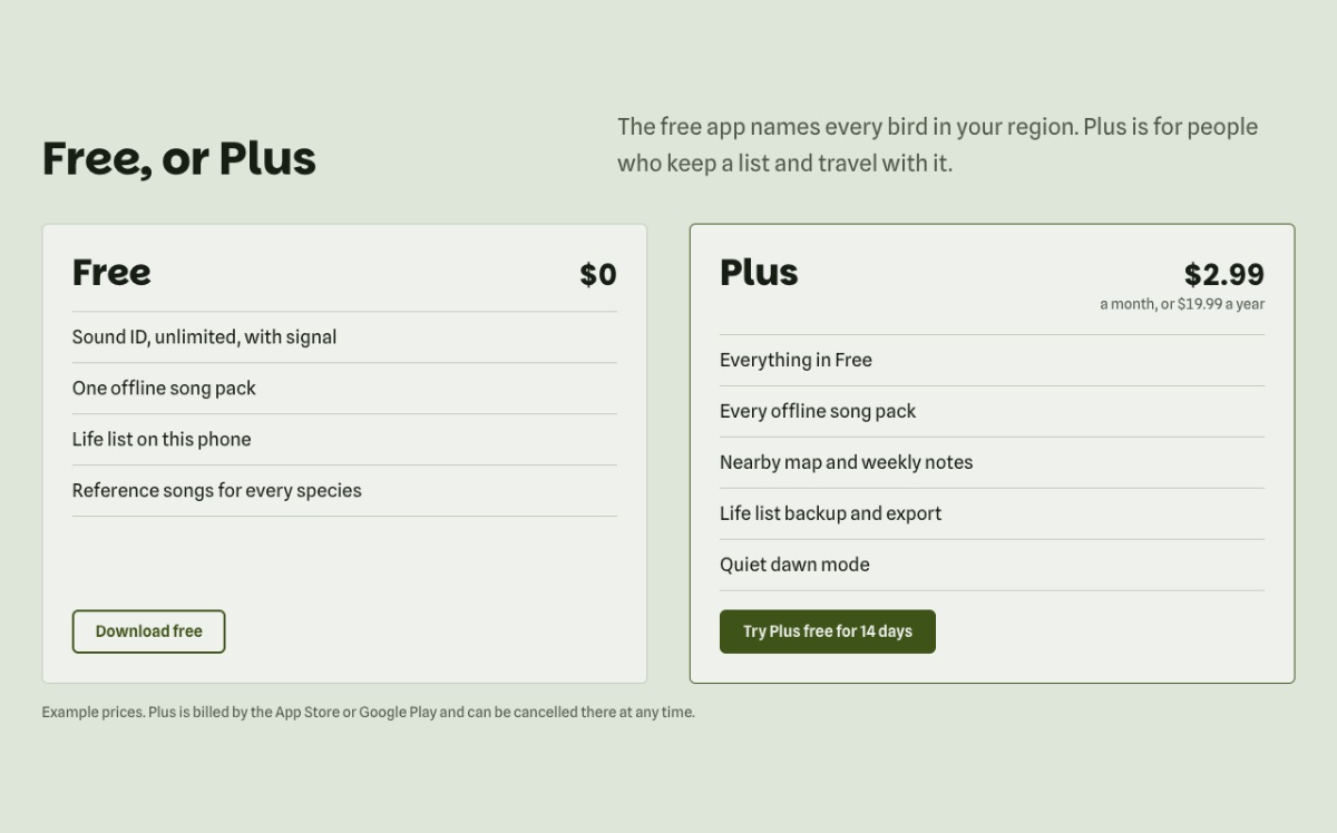 LT App Showcase design: pricing section