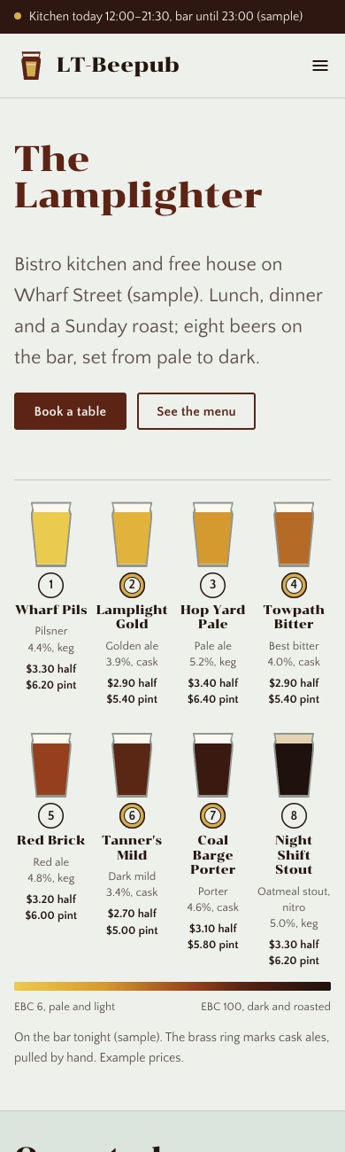 LT Beepub design on a phone