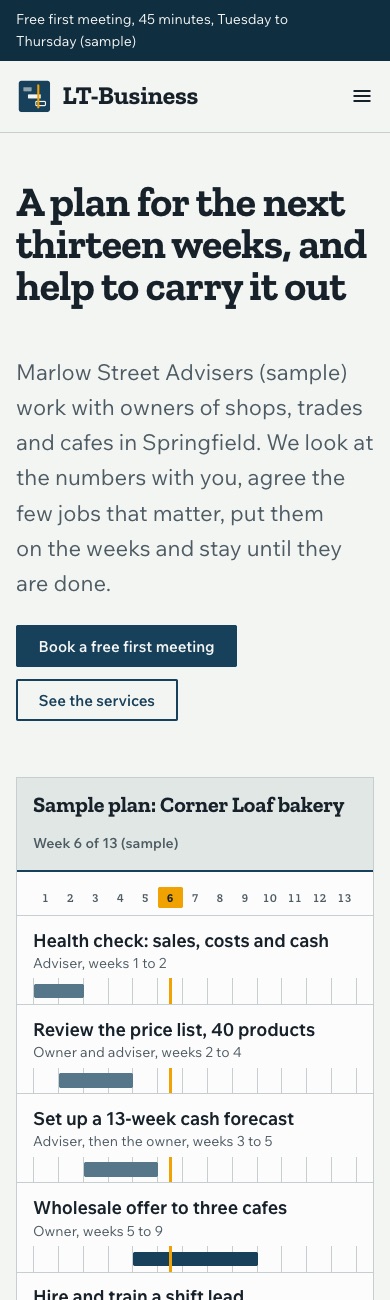 LT Business design on a phone