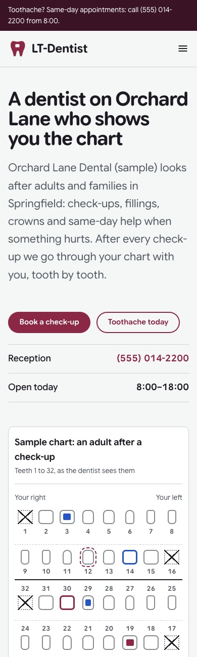 LT Dentist design on a phone