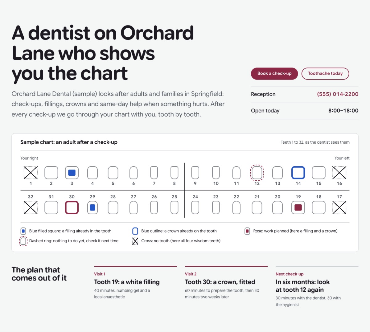 LT Dentist design: chart section