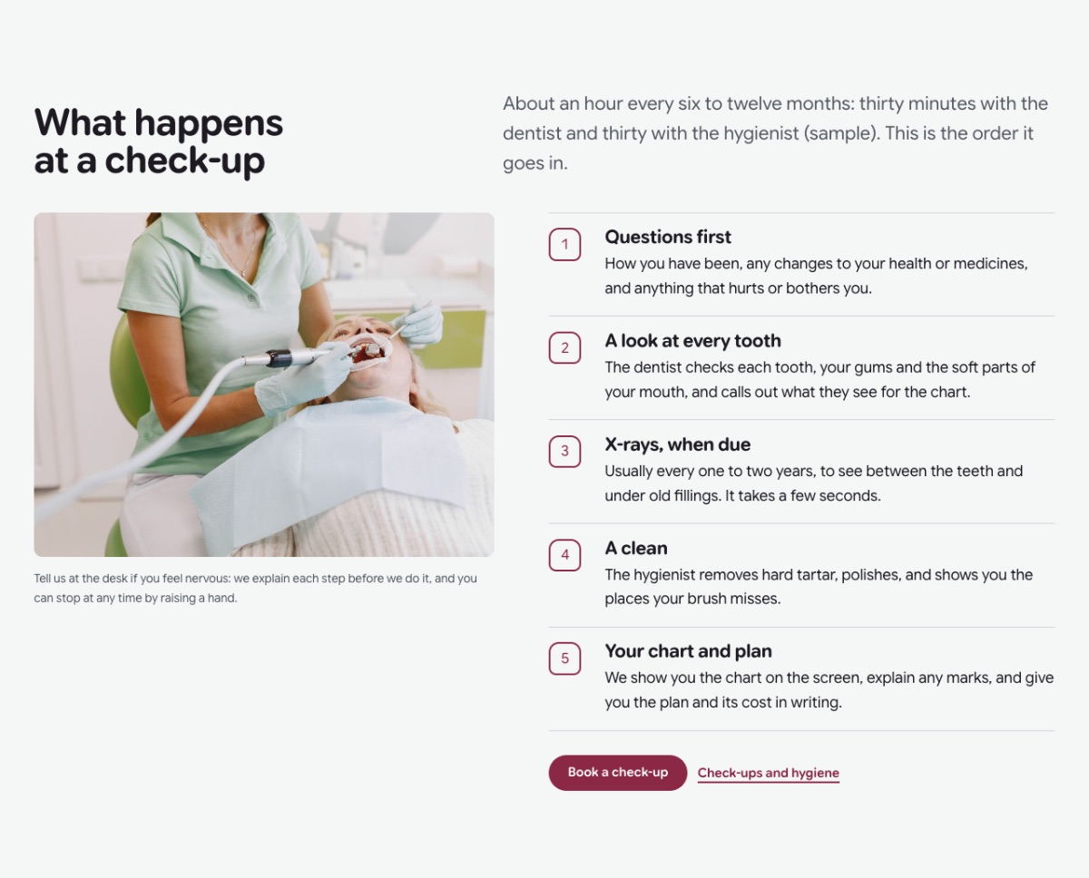 LT Dentist design: check up section