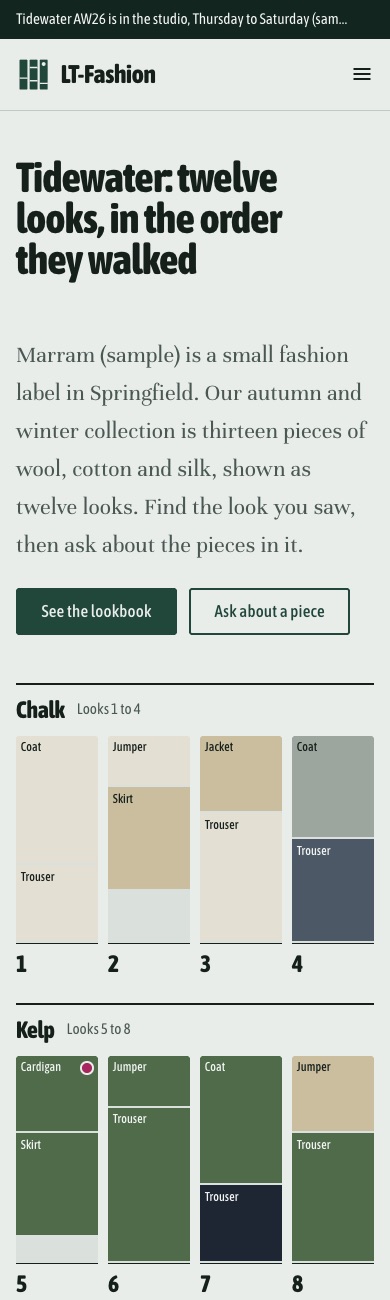 LT Fashion design on a phone