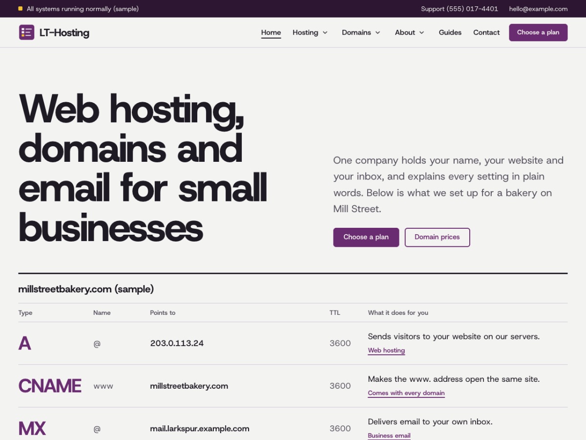 LT Hosting home page