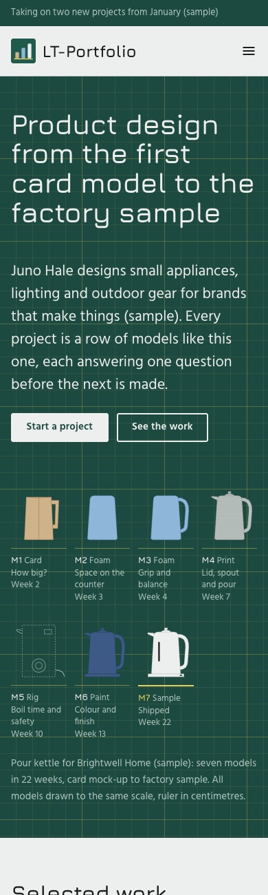 LT Portfolio design on a phone