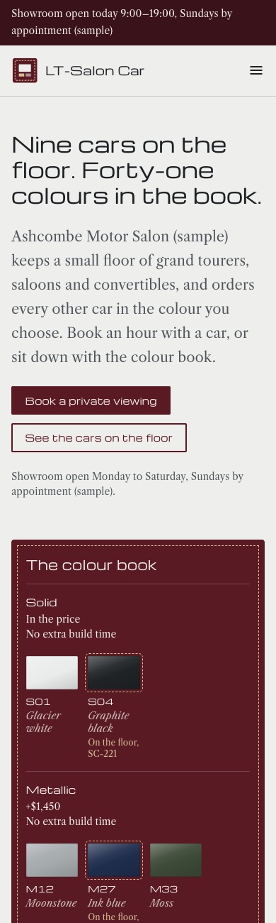 LT Salon Car design on a phone