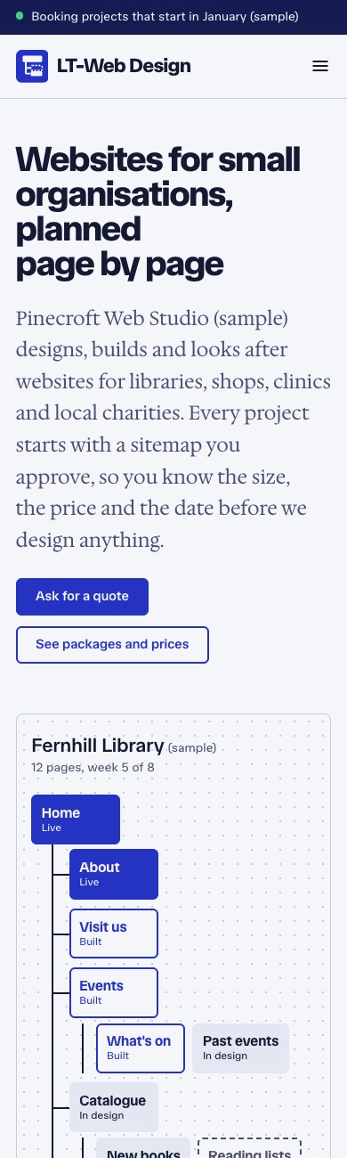 LT Web Design design on a phone