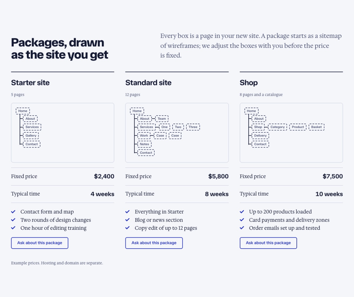 LT Web Design design: packages section